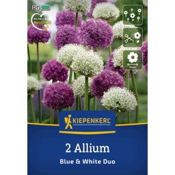 Kiepenkerl Allium Mix Blue & White - 2 Stück