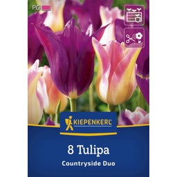 Kiepenkerl Tulpen Mix Countryside - 8 Stück