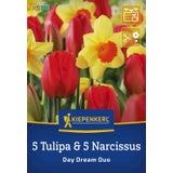 Kiepenkerl Duo-Mix Day Dream