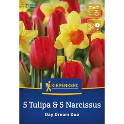 Kiepenkerl Duo-Mix Day Dream - 10 Stück