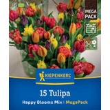 Kiepenkerl Mega Pack Happy Blooms