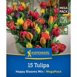 Kiepenkerl Mega Pack Happy Blooms - 15 Stück