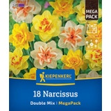 Kiepenkerl Mega-Pack Narzissen Gefüllte Mischung