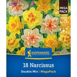 Kiepenkerl Mega pakiranje narcis 