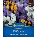 Kiepenkerl Mega-Pack Gartenkrokusmischung - 25 Stück