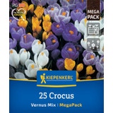 Kiepenkerl Mega-Pack Gartenkrokusmischung