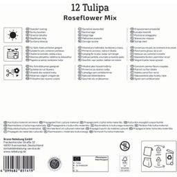 Mega-Pack Gefüllte späte Tulpen Rosentulpen-Mischung - 12 Stück