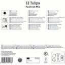 Mega-Pack Gefüllte frühe Tulpen Foxtrot Mix - 12 Stück