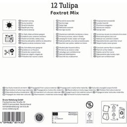 Mega-Pack Gefüllte frühe Tulpen Foxtrot Mix - 12 Stück