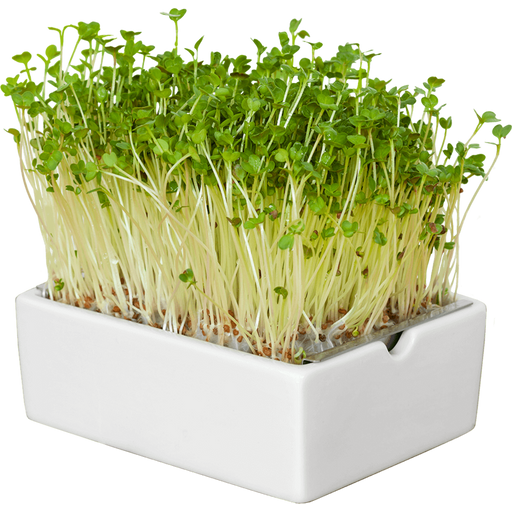 Heimgart Microgreens redkvice semenska blazinica - 1 k.