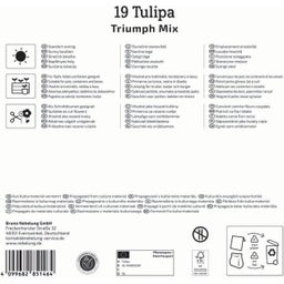 Kiepenkerl Mega pakiranje tulipanov 