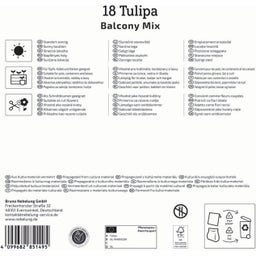Mega pakiranje botaničnih tulipanov 