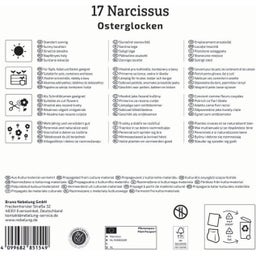 Kiepenkerl Mega pakiranje narcis 
