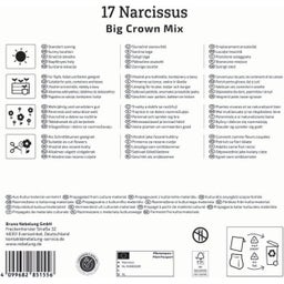 Kiepenkerl Mega pakiranje narcis 