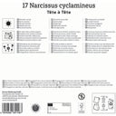 Kiepenkerl Mega pakiranje narcis 