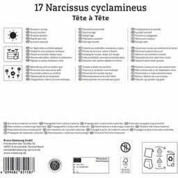 Kiepenkerl Mega pakiranje narcis 