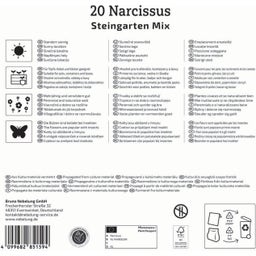 Kiepenkerl Mega pakiranje narcis 