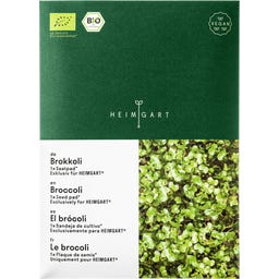 Tapete de Sementes Microgreens - Brócolos - 1 Unidade