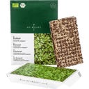 Tapete de Sementes Microgreens - Brócolos - 1 Unidade