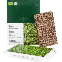 Tapete de Sementes Microgreens - Brócolos - 1 Unidade