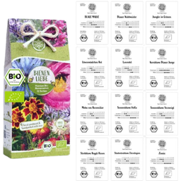 Loveplants Organic Seed Set - Bee-Friendly Flowers - 1 Set