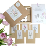 Wild Bouquets New Cottage Garden - Starter Set