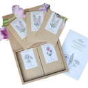 Wild Bouquets New Cottage Garden - Standard - 1 Pkg
