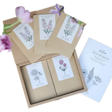 Wild Bouquets New Cottage Garden - Standard
