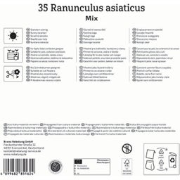 Kiepenkerl Mega-Pack Ranunkelmischung - 35 Stück