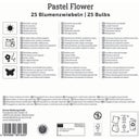 Kiepenkerl Mega Pack Pastel Flower - 25 Stück