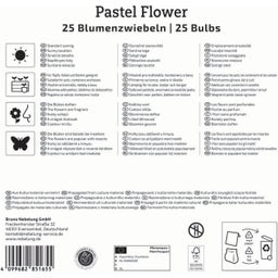 Kiepenkerl Mega Pack Pastel Flower - 25 Stück