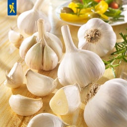 Kiepenkerl Winterpflanzknoblauch Messidrome - weiß - 3 Stück