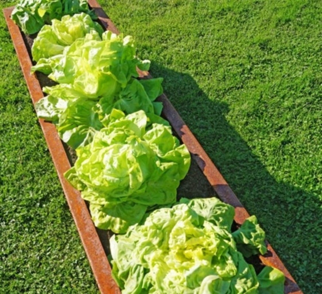 prima terra 