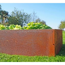 prima terra 