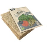 erbgruen Garden Cress Growing Kit