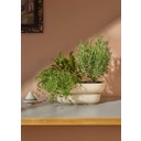 pidät KUKKA flowerpot - Sand