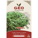 Organic Sprouting Leek Seeds, 6 grams