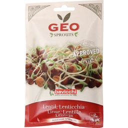 Bavicchi Organic Sprouting Lentil Seeds - 90 grams