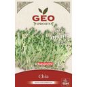 Bavicchi Organiczne nasiona na kiełki chia - 15 g