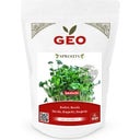 Bavicchi Organic Rocket Sprouting Seeds - 300 grams