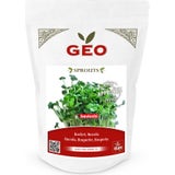 Bavicchi Organic Rocket Sprouting Seeds