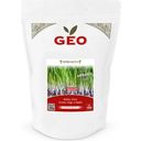 Bavicchi Organic Sprouting Barley Seeds - 600 grams