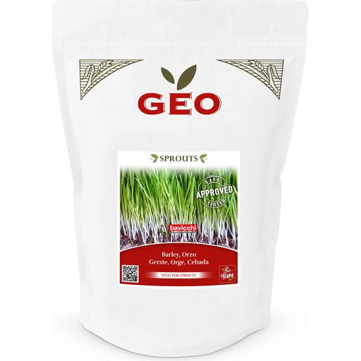 Bavicchi Semi per Germogli di Orzo Bio - 600 g