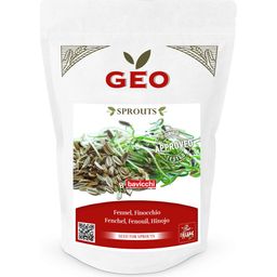 Bavicchi Semillas para Germinados de Hinojo Bio - 150 g