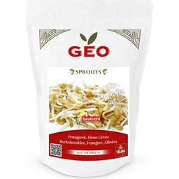 Bavicchi Organic Sprouting Fenugreek Seeds - 300 grams