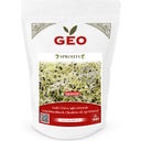 Bavicchi Bio Keimsprossen 