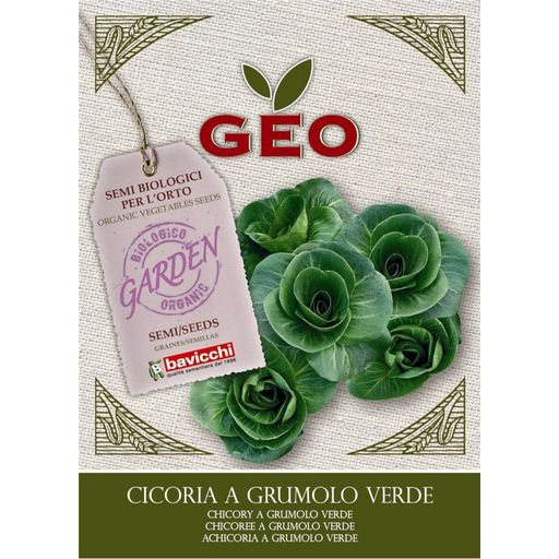 Bavicchi Organic Chicory a Grumolo Verde - 6 grams