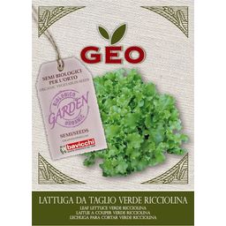 Bavicchi Organic Verde Ricciolina Leaf Lettuce - 6 grams