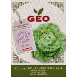 Bavicchi "May Queen" Organic Lettuce