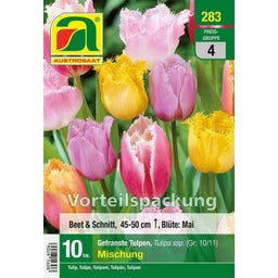 AUSTROSAAT Mélange de Tulipes Frangées - 10 bulbes